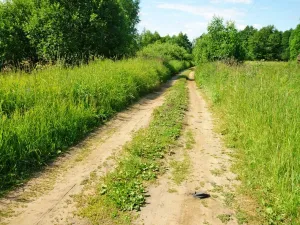 Олег Лобановский посетил Козловское сельское поселение